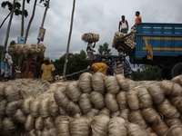 Labourers carry jute from a boat to a truck to send it in the capital Dhaka. Photo has taken on 26 July 2019 from Kurigram, Bangladesh.  (