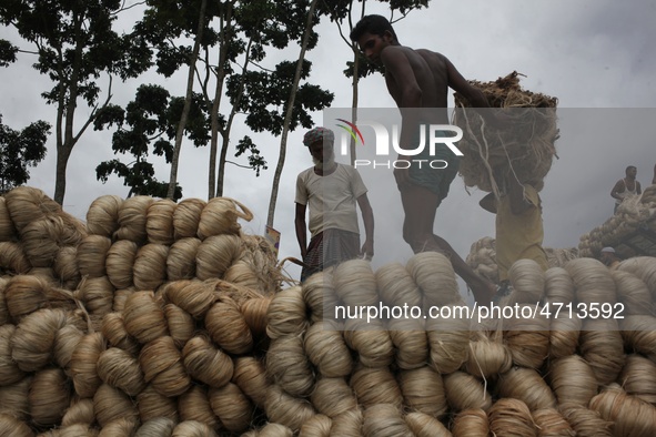 Labourers carry jute from a boat to a truck to send it in the capital Dhaka. Photo has taken on 26 July 2019 from Kurigram, Bangladesh.  