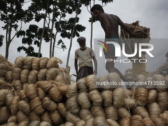 Labourers carry jute from a boat to a truck to send it in the capital Dhaka. Photo has taken on 26 July 2019 from Kurigram, Bangladesh.  (