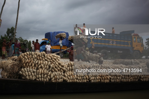 Labourers carry jute from a boat to a truck to send it in the capital Dhaka. Photo has taken on 26 July 2019 from Kurigram, Bangladesh.  