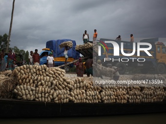 Labourers carry jute from a boat to a truck to send it in the capital Dhaka. Photo has taken on 26 July 2019 from Kurigram, Bangladesh.  (