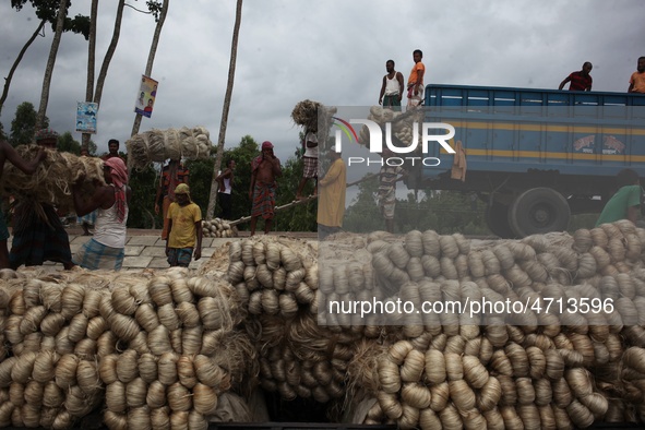 Labourers carry jute from a boat to a truck to send it in the capital Dhaka. Photo has taken on 26 July 2019 from Kurigram, Bangladesh.  