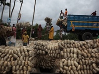 Labourers carry jute from a boat to a truck to send it in the capital Dhaka. Photo has taken on 26 July 2019 from Kurigram, Bangladesh.  (