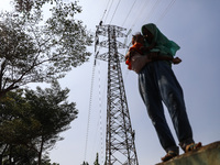 Operators work on a high voltage tower in Jakarta, Indonesia, July 27, 2019.  (