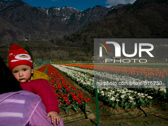 SRINAGAR, INDIAN ADMINISTERED KASHMIR, INDIA -APRIL 07: A Kashmiri woman holds her child as she looks towards Tulips in Siraj Bagh Tulip gar...
