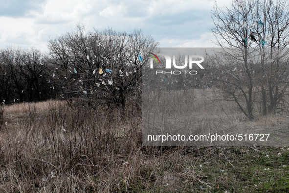 As the city dump is an open field, the wind constantly carry plastic bags and they got trap by trees. So now, the area could also face an en...