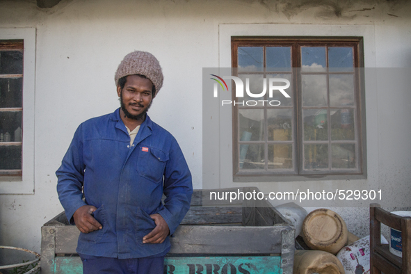  The Afrikaans speaking labourers of mixed decent working on Cape wine farms are some of the only remaining historic elements present in an...