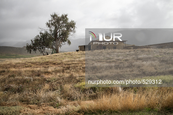  The Afrikaans speaking labourers of mixed decent working on Cape wine farms are some of the only remaining historic elements present in an...