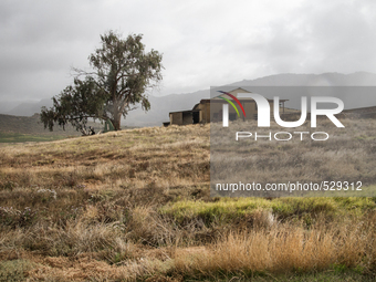  The Afrikaans speaking labourers of mixed decent working on Cape wine farms are some of the only remaining historic elements present in an...