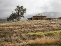  The Afrikaans speaking labourers of mixed decent working on Cape wine farms are some of the only remaining historic elements present in an...