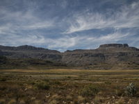  The Afrikaans speaking labourers of mixed decent working on Cape wine farms are some of the only remaining historic elements present in an...