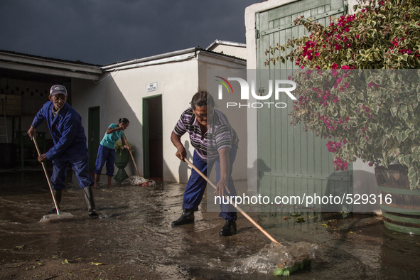  The Afrikaans speaking labourers of mixed decent working on Cape wine farms are some of the only remaining historic elements present in an...