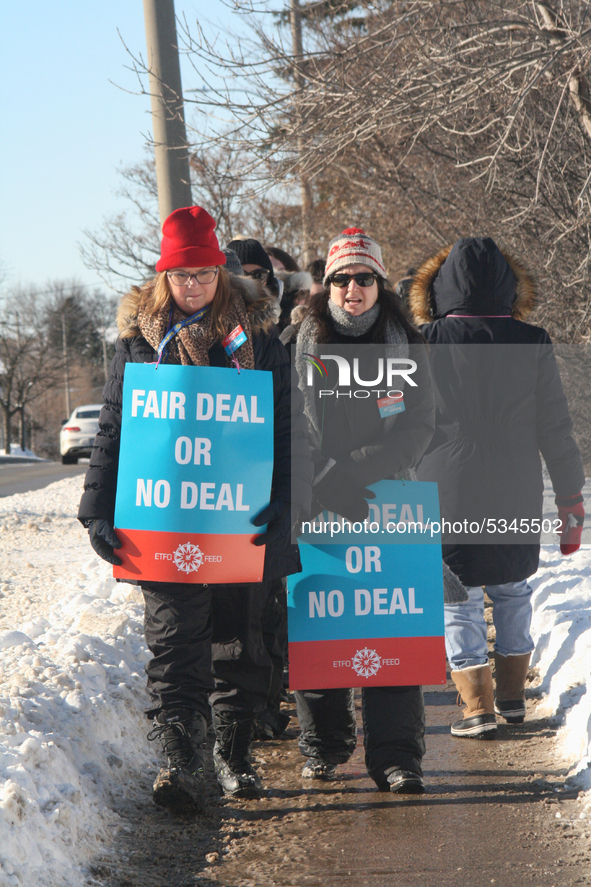 Ontario public elementary school teachers picket while striking on January 20, 2020 in Toronto, Ontario, Canada. All four major teachers uni...