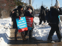 Ontario public elementary school teachers picket while striking on January 20, 2020 in Toronto, Ontario, Canada. All four major teachers uni...