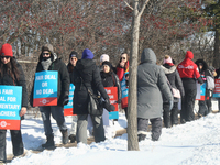 Ontario public elementary school teachers picket while striking on January 20, 2020 in Toronto, Ontario, Canada. All four major teachers uni...