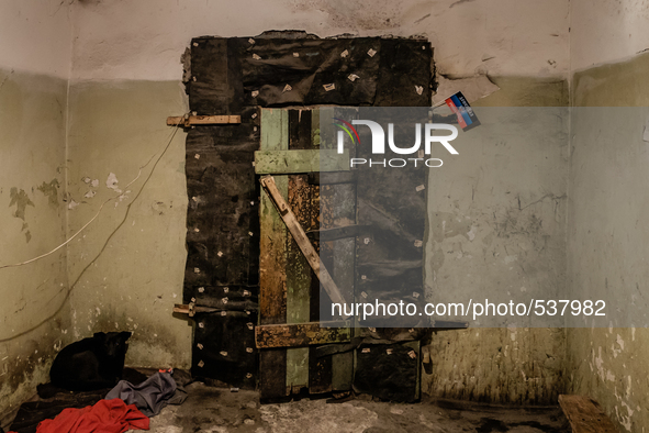 Inside the bunker, main entrance door. A flag of the separatist is hang on the upright side of the door. A dog on the lower left side intrig...