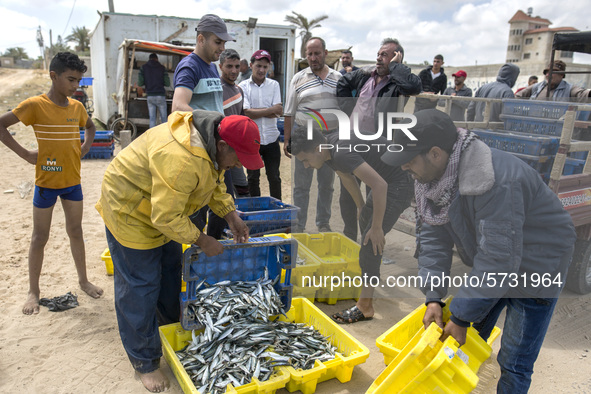 Palestinian fishermen displays the day's catch in the street near the beach in the Az-Zawayda area of the central Gaza Strip, on 27 May, 202...