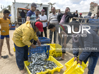 Palestinian fishermen displays the day's catch in the street near the beach in the Az-Zawayda area of the central Gaza Strip, on 27 May, 202...