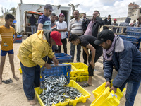 Palestinian fishermen displays the day's catch in the street near the beach in the Az-Zawayda area of the central Gaza Strip, on 27 May, 202...