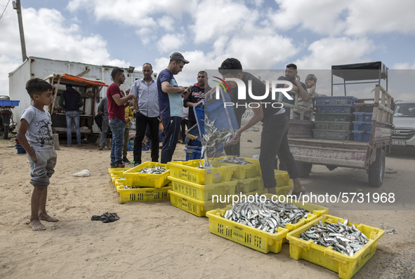 Palestinian fishermen displays the day's catch in the street near the beach in the Az-Zawayda area of the central Gaza Strip, on 27 May, 202...