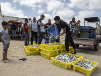 Palestinian fishermen displays the day's catch in the street near the beach in the Az-Zawayda area of the central Gaza Strip, on 27 May, 202...