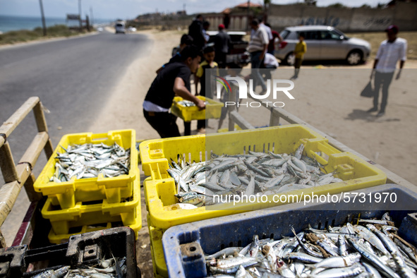 Palestinian fishermen displays the day's catch in the street near the beach in the Az-Zawayda area of the central Gaza Strip, on 27 May, 202...