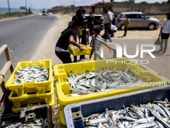 Palestinian fishermen displays the day's catch in the street near the beach in the Az-Zawayda area of the central Gaza Strip, on 27 May, 202...