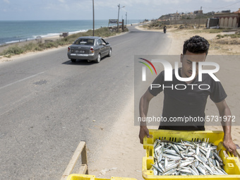 Palestinian fishermen displays the day's catch in the street near the beach in the Az-Zawayda area of the central Gaza Strip, on 27 May, 202...