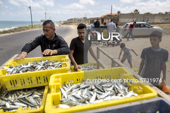 Palestinian fishermen displays the day's catch in the street near the beach in the Az-Zawayda area of the central Gaza Strip, on 27 May, 202...