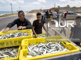 Palestinian fishermen displays the day's catch in the street near the beach in the Az-Zawayda area of the central Gaza Strip, on 27 May, 202...