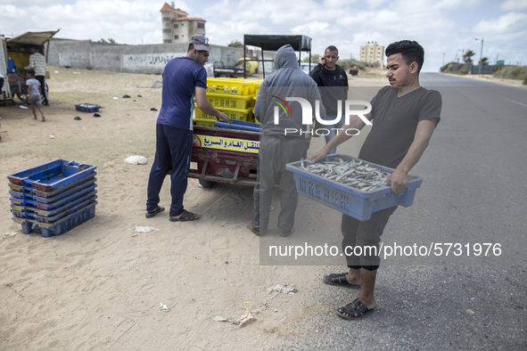 Palestinian fishermen displays the day's catch in the street near the beach in the Az-Zawayda area of the central Gaza Strip, on 27 May, 202...