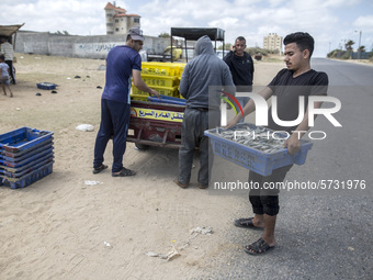 Palestinian fishermen displays the day's catch in the street near the beach in the Az-Zawayda area of the central Gaza Strip, on 27 May, 202...