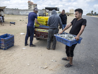 Palestinian fishermen displays the day's catch in the street near the beach in the Az-Zawayda area of the central Gaza Strip, on 27 May, 202...