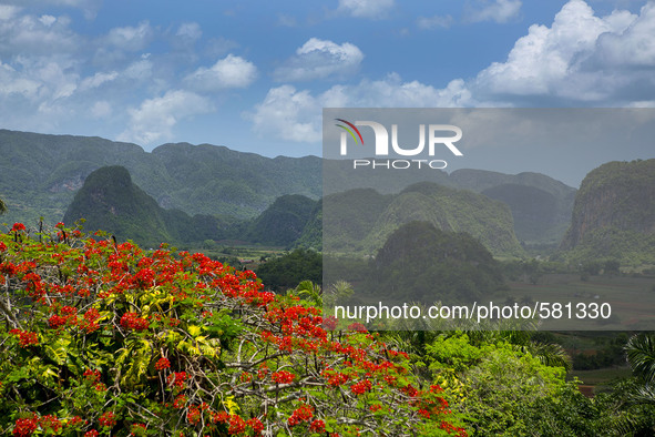 Vinales is a lush valley in Pinar del Rio province of Cuba. Farmers grow the best tobacco in the world in this UNESCO World Heritage Site. T...