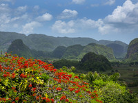 Vinales is a lush valley in Pinar del Rio province of Cuba. Farmers grow the best tobacco in the world in this UNESCO World Heritage Site. T...