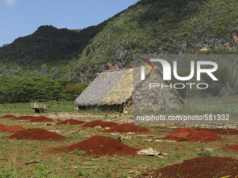 Thatched barns are used to dry tobacco in the Vinales valley shown on May 7, 2015. Vinales is a lush valley in Pinar del Rio province of Cub...