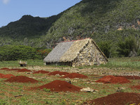 Thatched barns are used to dry tobacco in the Vinales valley shown on May 7, 2015. Vinales is a lush valley in Pinar del Rio province of Cub...