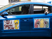 Chicago Teachers Union members and supporters join a car caravan outside Chicago Public Schools (CPS) headquarters while a Chicago Board of...