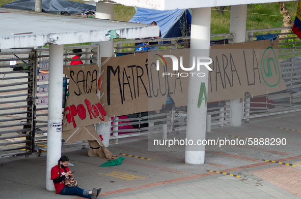 Students of the National University of Colombia 'Universidad Nacional de Colombia' in Bogota protest by setting a campsite inside campus for...