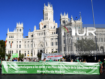 During the demonstration called by the groups for the Public Education in Madrid, they have demanded means, personnel and guarantees to the...