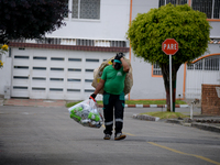 Mr. Botache belongs to the group of Environmental Recuperators walks through the streets of the town of San Cristobal on a collection day in...