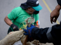 A worker loads the recycled material into the truck during a working day in the town of San Cristóbal, in Bogota, Colombia on September 9, 2...