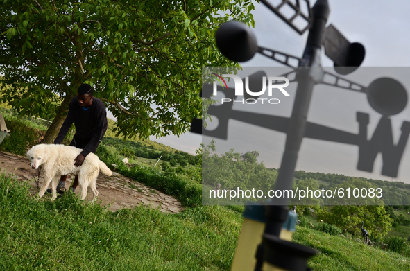 Rhys is having fun with his dog in the village of Kostur, Bulgaria on May 12, 2015 