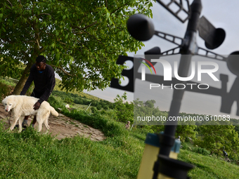 Rhys is having fun with his dog in the village of Kostur, Bulgaria on May 12, 2015 (