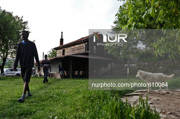 Rhys Gordon is having a walk through his house's yardon in the village of Kostur, Bulgaria May 12, 2015 