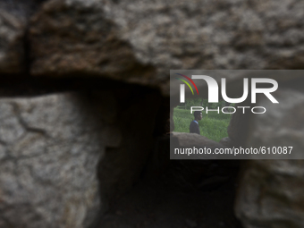 Rhys Gordon is having a walk through his house's yardon in the village of Kostur, Bulgaria on May 12, 2015 (