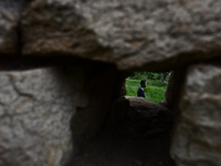 Rhys Gordon is having a walk through his house's yardon in the village of Kostur, Bulgaria on May 12, 2015 (