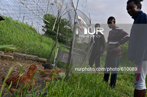 The Gordons are looking at their Bulgarian farm of hens on May 12, 2015 