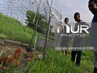 The Gordons are looking at their Bulgarian farm of hens on May 12, 2015 (