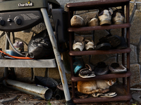 Gordon's cat Garfield is having a nap on the shoe shelf on May 12, 2015 (